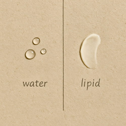 Hydration vs. Moisture — Hyaluronic Acid 101