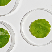 Centella Asiatica Extract