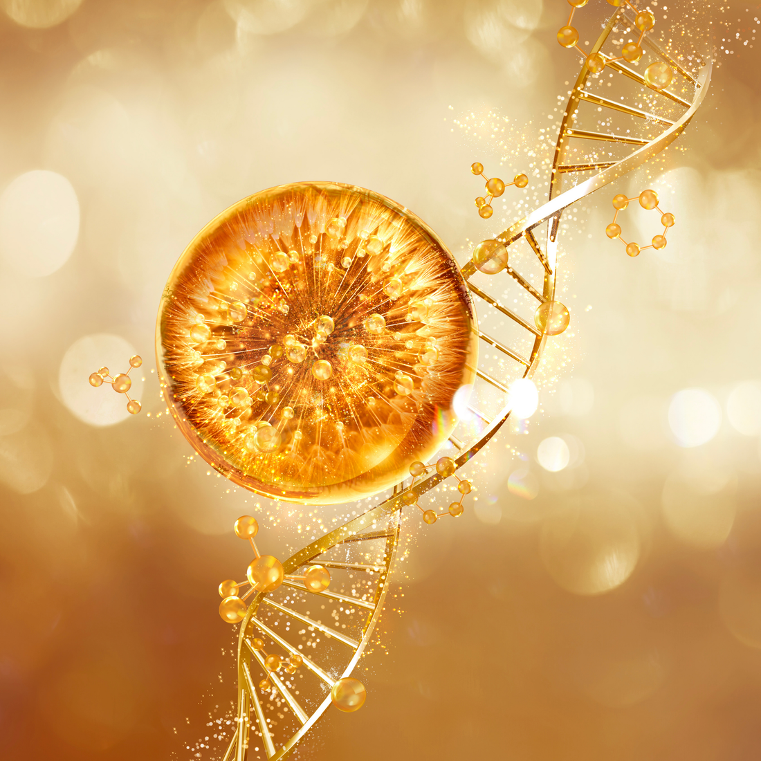 The Alchemy of Aurum Lustrum: Gold, Ritual, and the Renewal of Skin