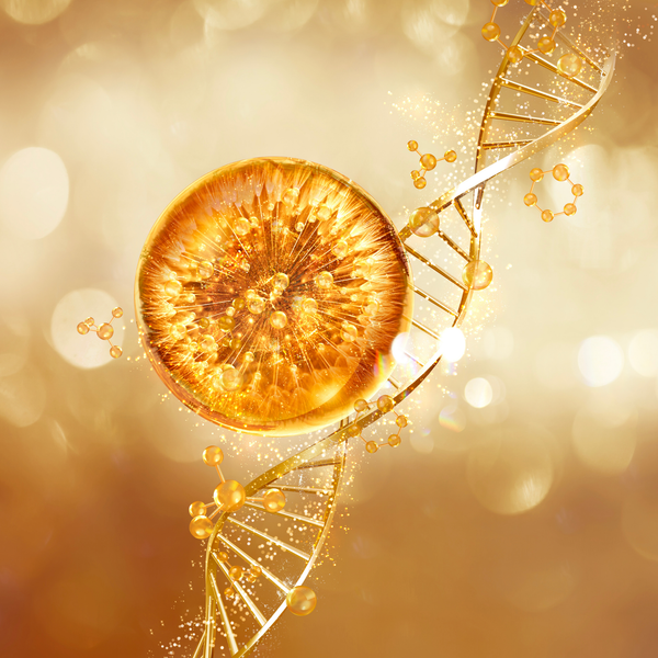 The Alchemy of Aurum Lustrum: Gold, Ritual, and the Renewal of Skin