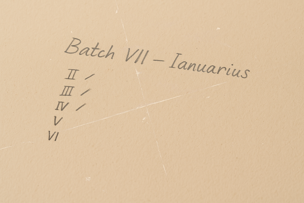 Batch Markings