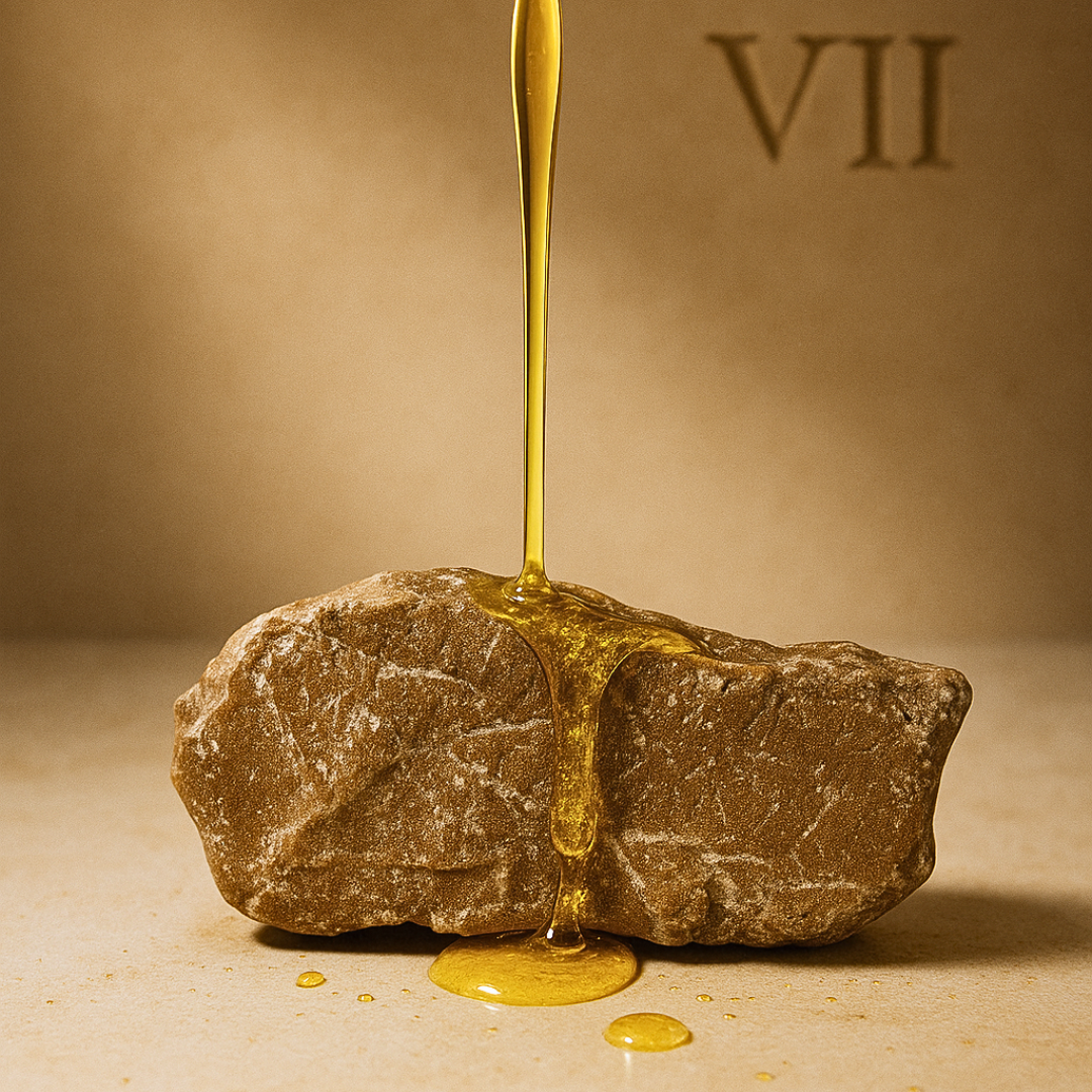 Sacra Renovatio: The Rite of Nightfall