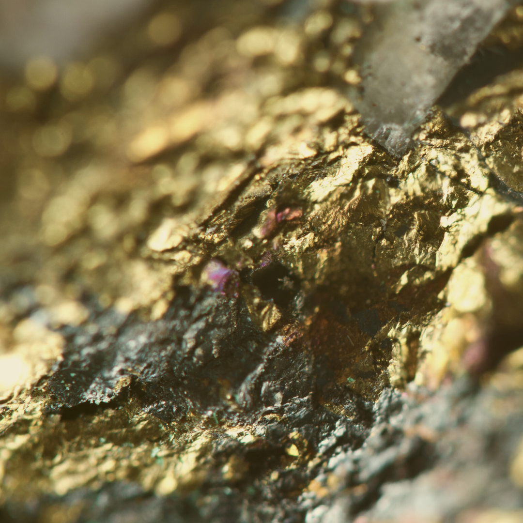 Close-up of raw gold with stone