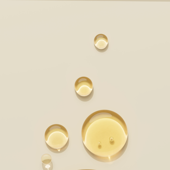 Sacra Renovatio: The Rite of Nightfall