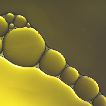 Sacra Renovatio: The Rite of Nightfall