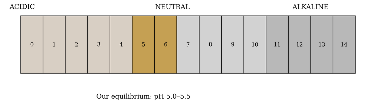 Our equilibrium: the optimal pH range for skin resilience
